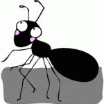 ants get rid of ants kill ants dupage