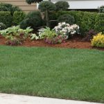 fall lawn care tips