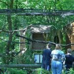 willowbrook wildlife center outdoor exhibits