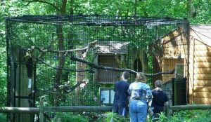 willowbrook wildlife center outdoor exhibits