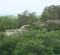 DSC05796_768x432