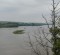 DSC05834_768x432