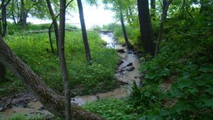 A creek forms from rain run-off at Starved Rock.