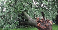 Tornado Warning in DuPage County – Storm Safety Revisited