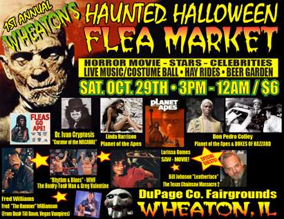 Haunted Flea Market in DuPage County