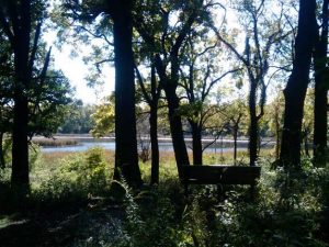 Lake at Lyman Woods