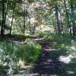 Lyman Wood's Meandering Trails