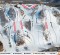 chestnut-mountain-ski-map
