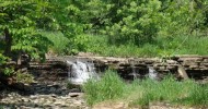 Waterfall Glen Forest Preserve in Photos