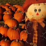 2012 Fall Festivals & Fun Events in DuPage County!