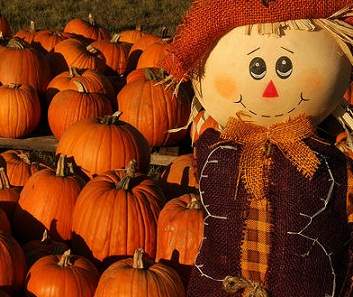 fall-festivals-dupage-county