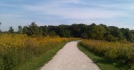 Greene Valley Forest Preserve in Naperville – Great Views Await