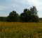 wpid-IMG_20120916_102937.jpg