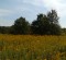 wpid-IMG_20120916_102937.jpg