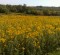 wpid-IMG_20120916_104648.jpg