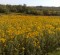 wpid-IMG_20120916_104648.jpg