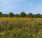 wpid-IMG_20120916_104936.jpg