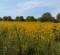 wpid-IMG_20120916_105420.jpg