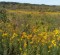 wpid-IMG_20120916_111305.jpg