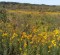 wpid-IMG_20120916_111305.jpg